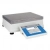 PM 4Y Precision Balances Radwag