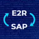 Integration of E2R and SAP Radwag