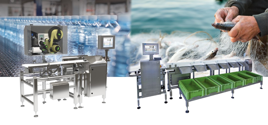 How to Increase Efficiency and Precision in Industry? RADWAG Checkweighers