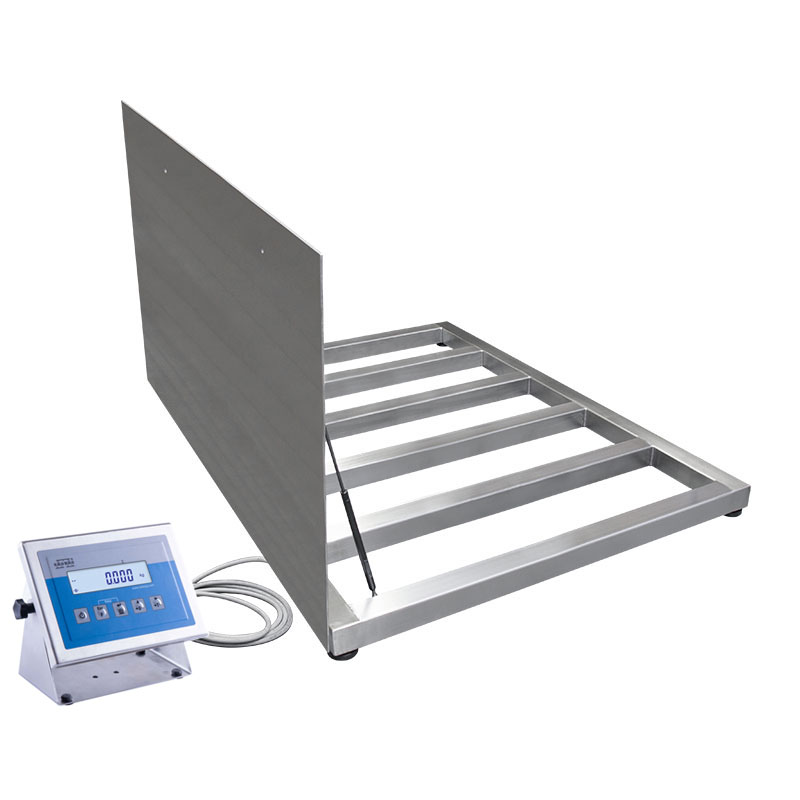 H315.4.600.H6/Z Stainless Steel Platform Scale, Pit Version ›› Industrial Scales
