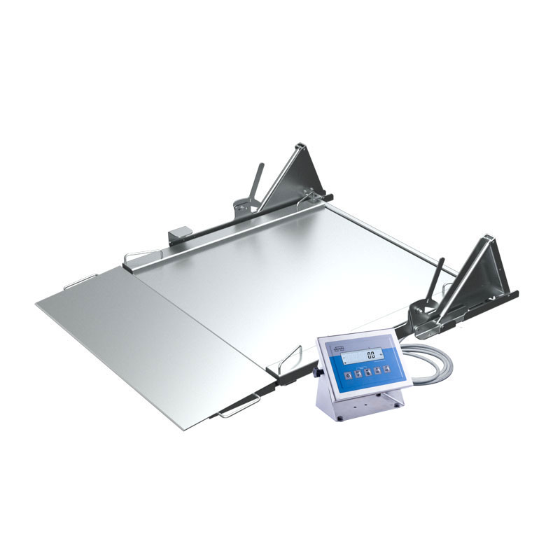 H315.4N.300/600.H4.LD Stainless Steel Ramp Scale